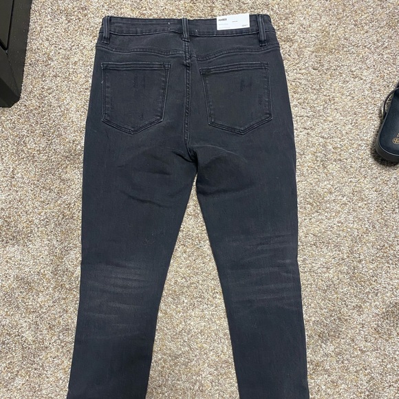 Vervet by Flying Monkey - Picture 4 of 4